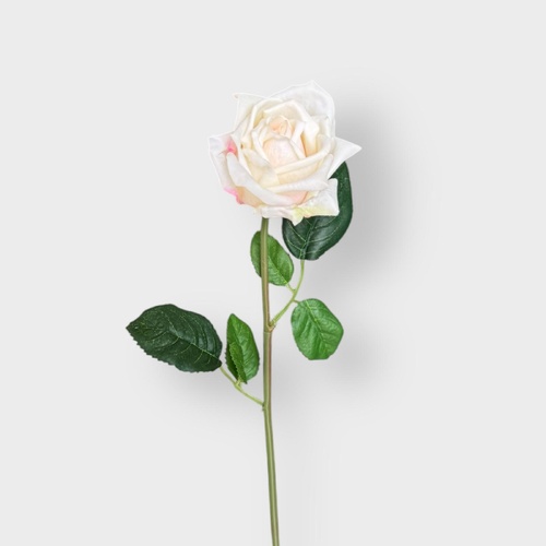 Rose Lucey FI8323CH