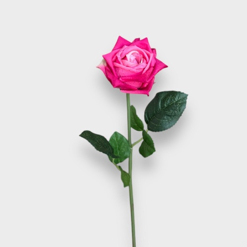 Rose Lucey FI8323FU