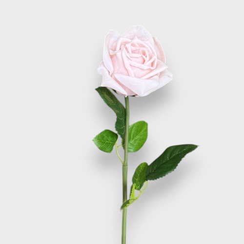 Rose Lucey FI8323SP