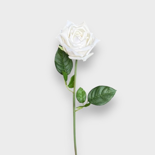 Rose Lucey FI8323WW