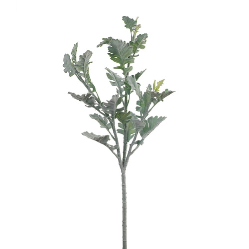 Dusty Miller Spray FI8402GY