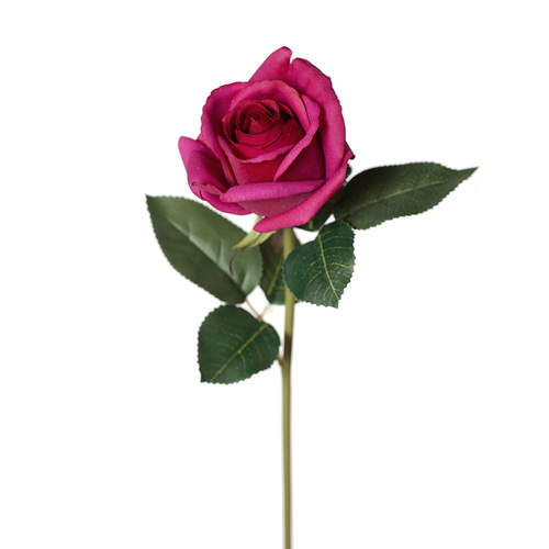Real Touch Rosebud Open FI8444BU