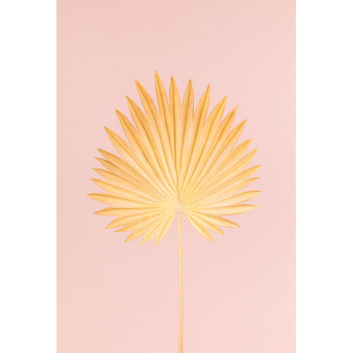 Faux Palm Leaf FI8512BT