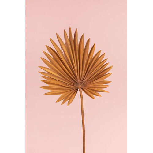 Faux Palm Leaf FI8512TF