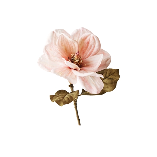 Magnolia Faux Dried FI8515DP