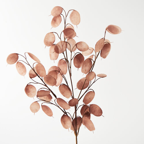 Faux Lunaria Spray FI8517BR