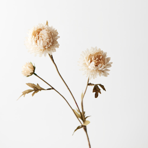 Faux Dried Chrysanthemum FI8643CR