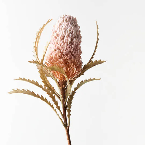 Faux Dried Banksia Acorn FI8650LP
