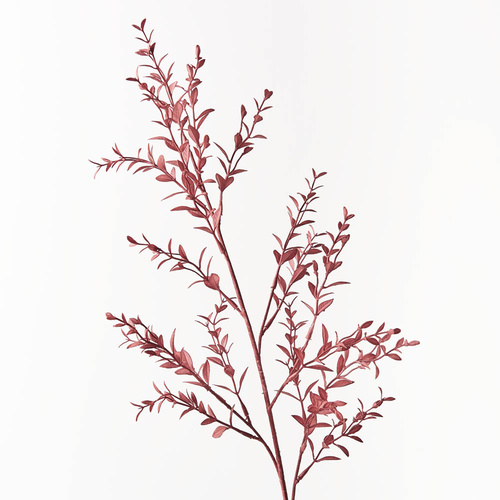 Faux Preserved Italian Ruscus FI8655BU