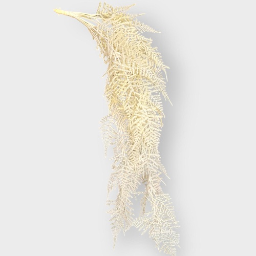 Fern Hanging Bush FI8657WH