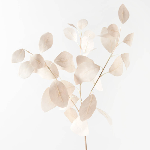 Silver Dollar Eucalyptus FI8681IV