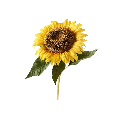 Sunflower Stem FI8698YE