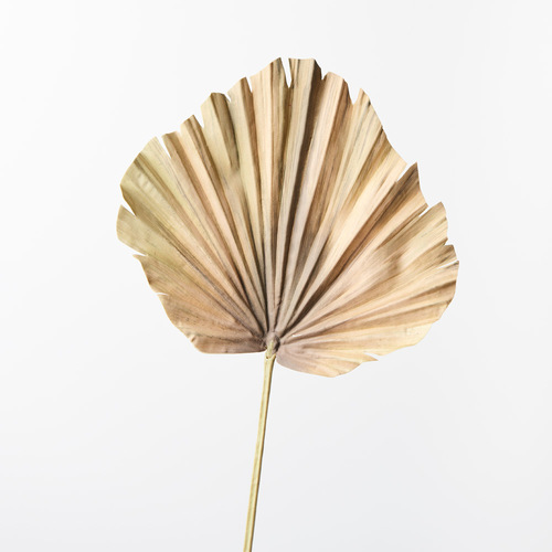 Fan Palm Leaf FI8742GB