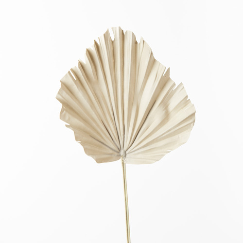 Fan Palm Leaf FI8742NA