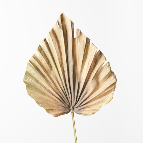 Palm Fan Spear FI8743GB