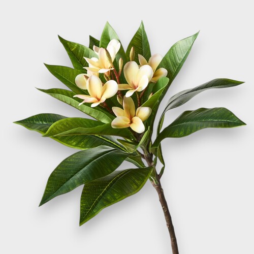 Real Touch Frangipani FI8891YE