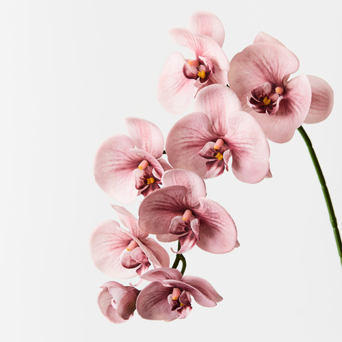 Real Touch Phalaenopsis Orchid FI8896DP
