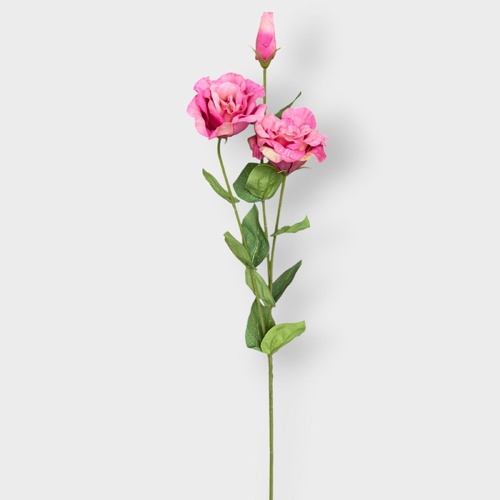 Lisianthus FI8905PM