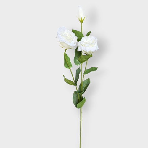 Lisianthus FI8905WH