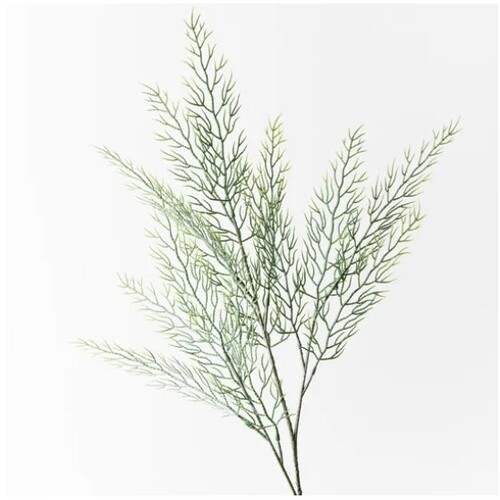 CORAL FERN SPRAY FI8932GY