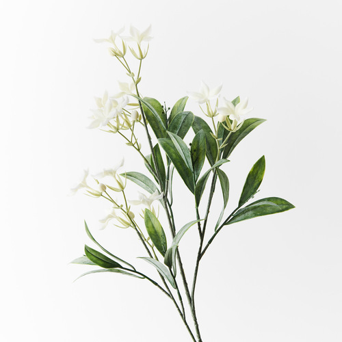 Stephanotis Spray FI8933WH