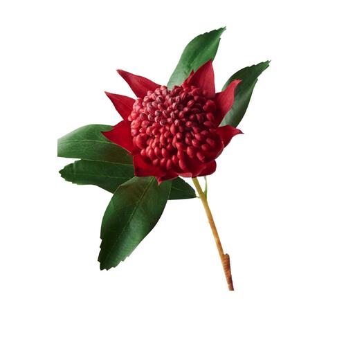 Waratah FI8934RED