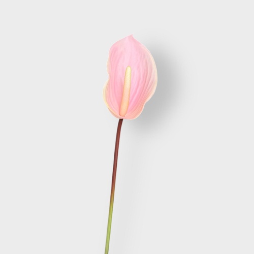 Real Touch Small Anthurium FI8937LP