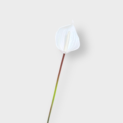 Real Touch Small Anthurium FI8937WW