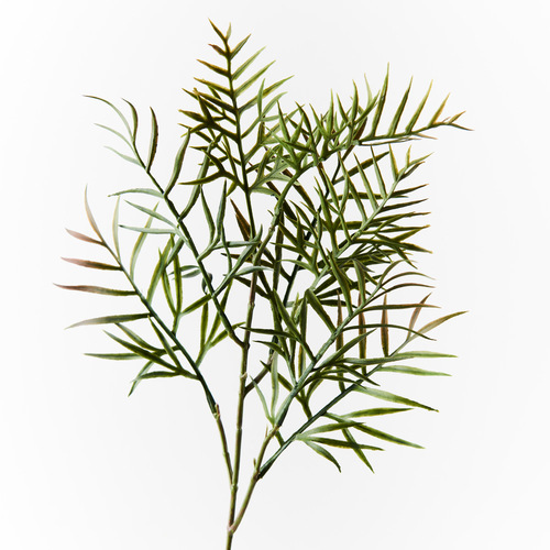 Grevillea Leaf Spray FI8979GR