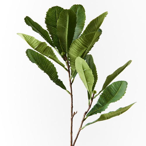 Banksia Leaf Spray FI8981GR