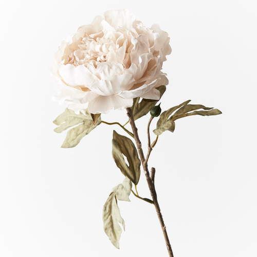 Peony Celeste FI8994IV