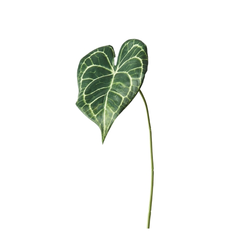 Caladium Leaf FI9110GR