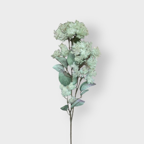 Smoke bush Spray FI9162CR