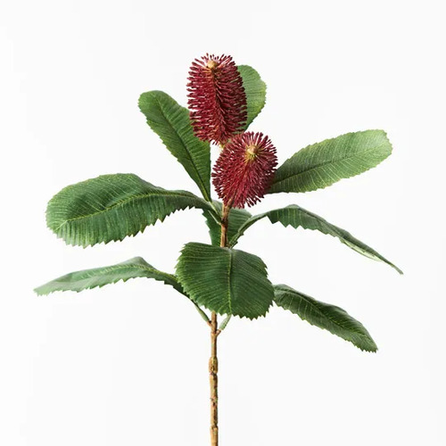 Robur Banksia spray FI9236BU