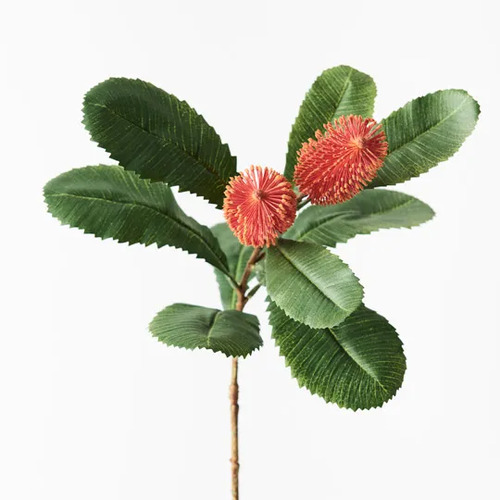 Robur Banksia spray FI9236FL