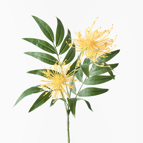 Grevillea Spray FI9237YE