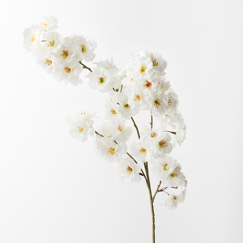 Blossom Apple FI9306WH