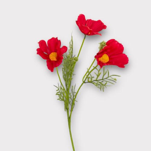 RT Cosmos Spray FI9369RD