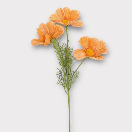 RT Cosmos Spray FI9369TF