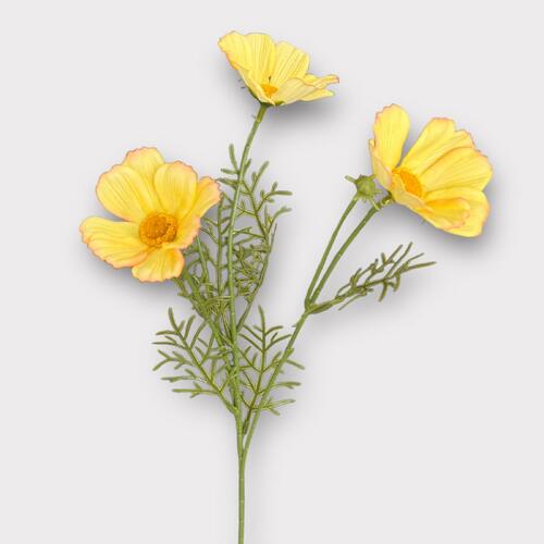RT Cosmos Spray FI9369YE