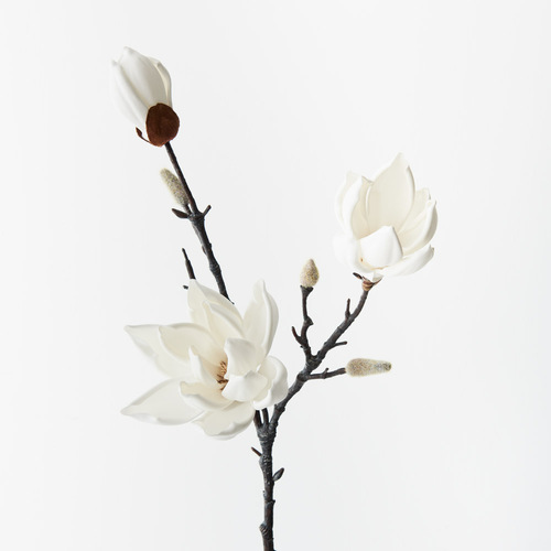 Japanese Magnolia foam FI9382WH