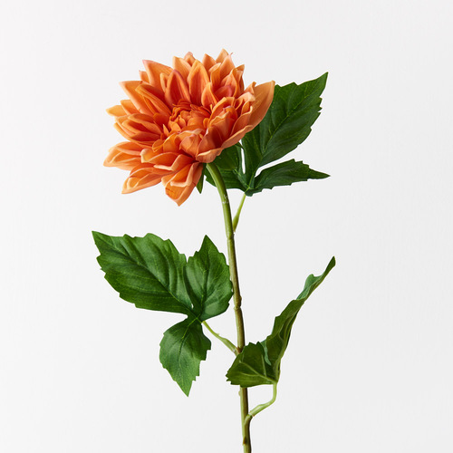 RT DAHLIA Medium FI9422OR