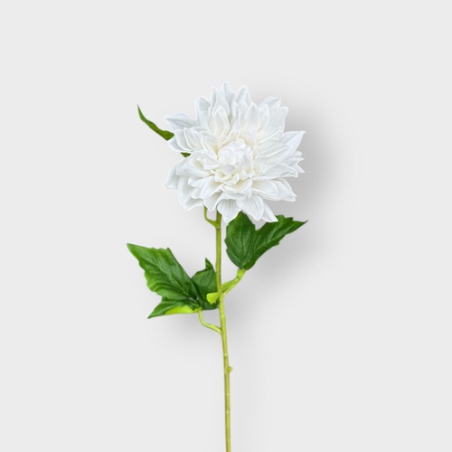 RT DAHLIA Medium FI9422WW