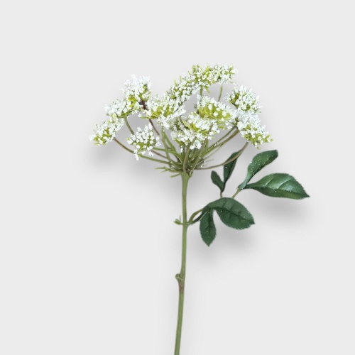 Queen Anne Lace Pick FI9427WH