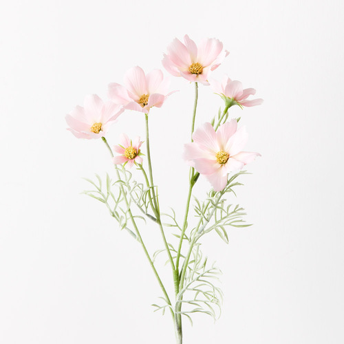 Cosmos Spray FI9432LP