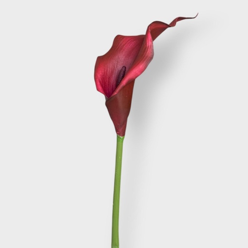 Calla Lily 61cm FI9440BUR