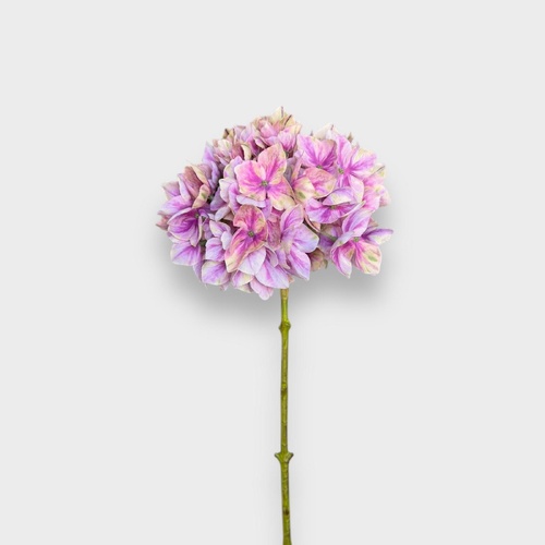 Real Touch Hydrangea FI9443MVG