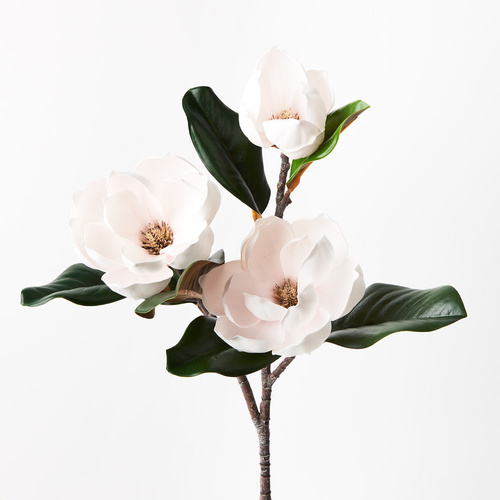 Magnolia Spray FI9449LP