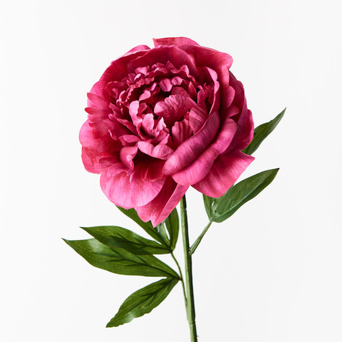 Silk Peony FI9478FU