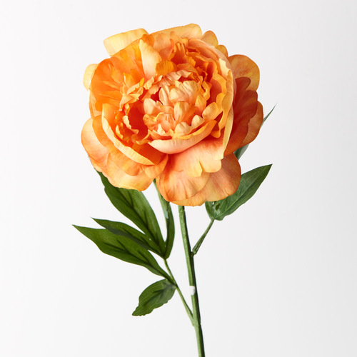 Silk Peony FI9478OR